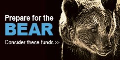 Prepare for the Bear